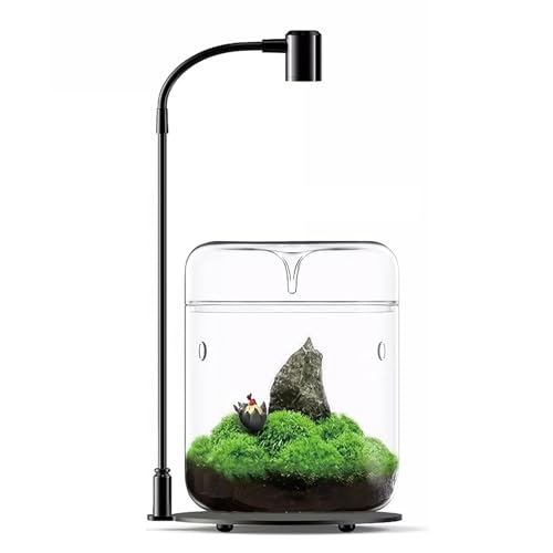 Glass Plant Terrarium 4.7X7 Inches Succulent Air Planter Fern Moss Micro-Landscape Vase for Home Office Tabletop Decoration Container with Lid Indoor Wardian Copyright Patentwith Light