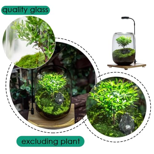 Plants Containers Office Home Ornamental Plant Glass Container Glass Plant Terrarium with LED Light Indoor Flower Pot Micro-Landscape with Grow Light Set Moss Vase Planter Terrariums (Color : Transpa
