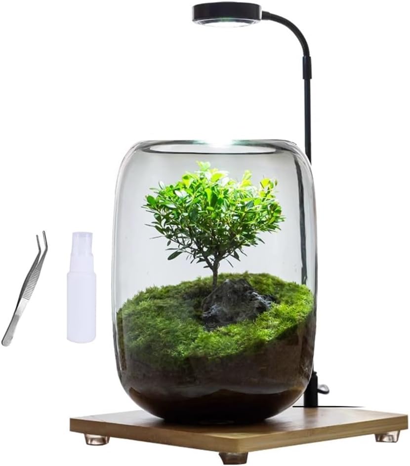 Plants Containers Office Home Ornamental Plant Glass Container Glass Plant Terrarium with LED Light Indoor Flower Pot Micro-Landscape with Grow Light Set Moss Vase Planter Terrariums (Color : Transpa